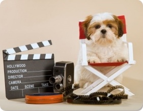 Animal Appraiser