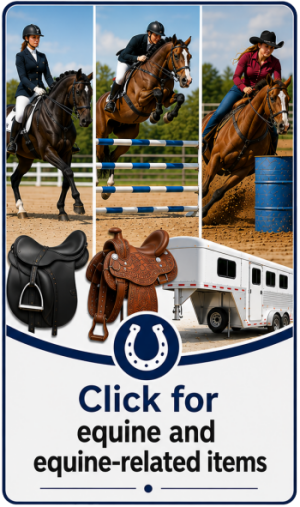 Equine Appraisals, Equine Appraiser